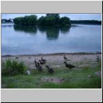 2004-07-01 - 05-33-12.JPG